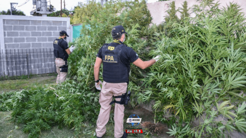 FPA-desarticulo-una-organizacion-narco-y-secuestro-mas-de-6-kilos-de-drogas.png