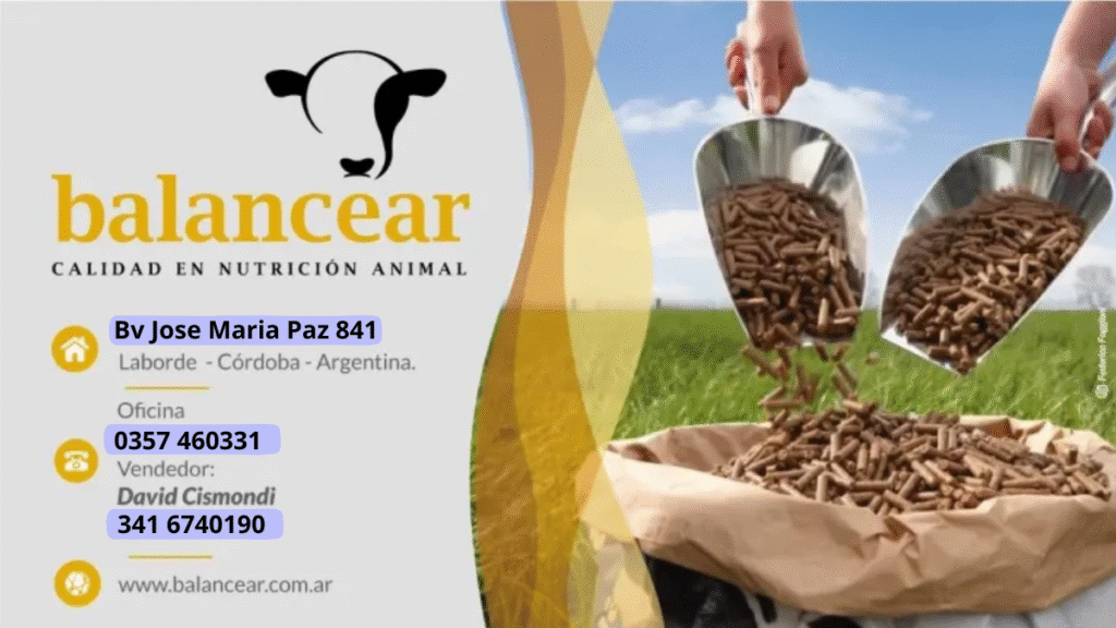 Balancear Laborde