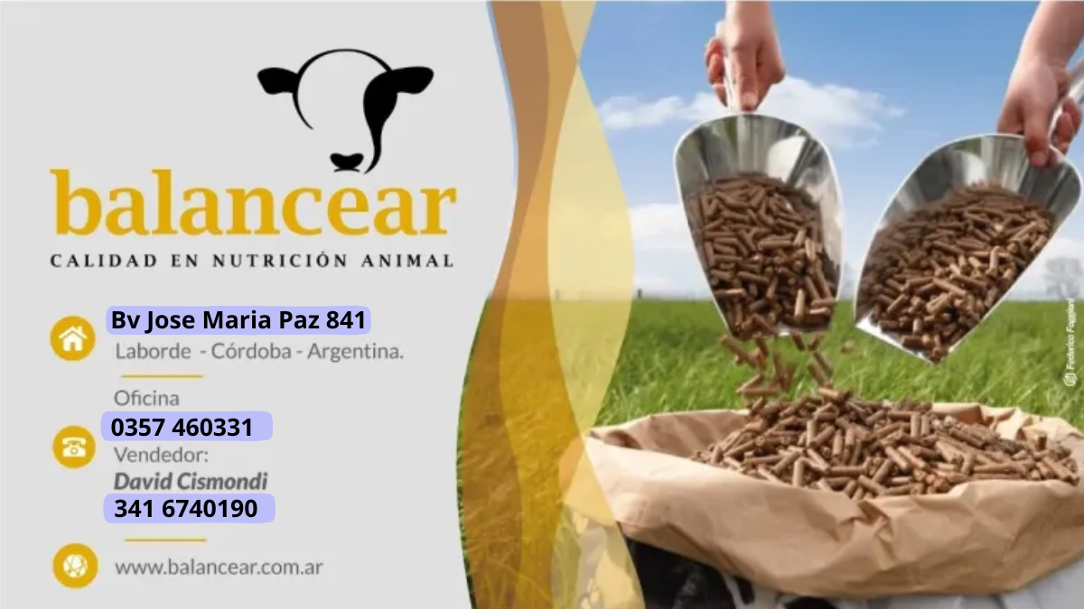 Balancear Laborde